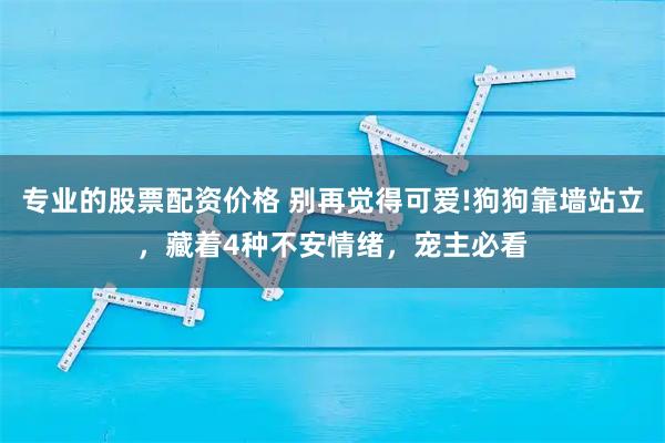 专业的股票配资价格 别再觉得可爱!狗狗靠墙站立，藏着4种不安情绪，宠主必看