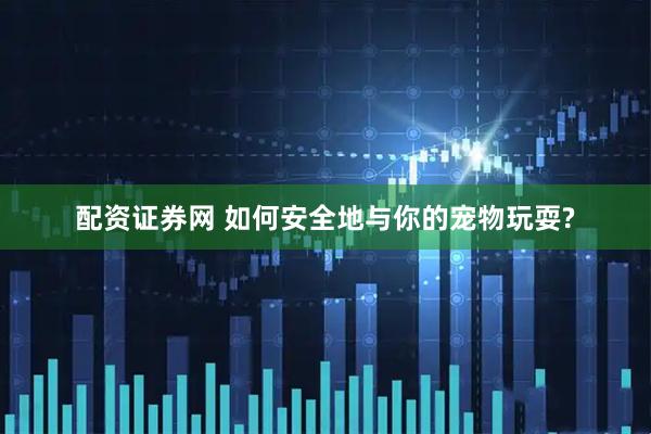 配资证券网 如何安全地与你的宠物玩耍?
